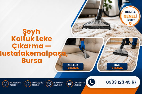 Şeyh Koltuk Leke Çıkarma — Mustafakemalpaşa, Bursa