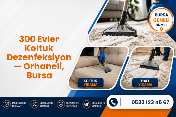 300 Evler Koltuk Dezenfeksiyon — Orhaneli, Bursa