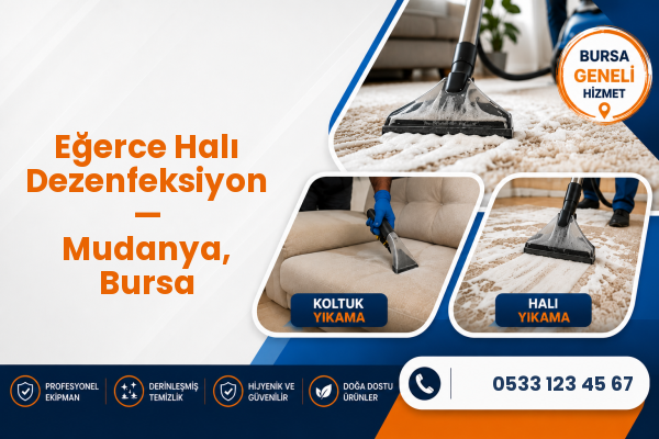 Eğerce Halı Dezenfeksiyon — Mudanya, Bursa