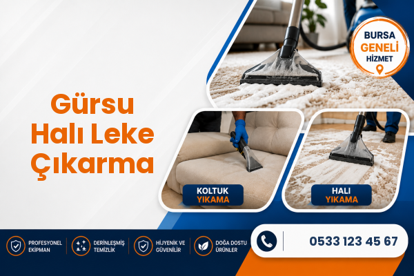 Gürsu Halı Leke Çıkarma