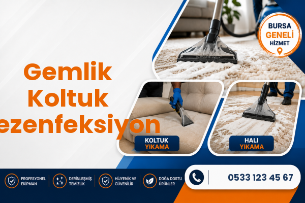 Gemlik Koltuk Dezenfeksiyon