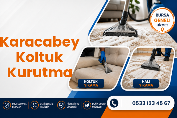 Karacabey Koltuk Kurutma